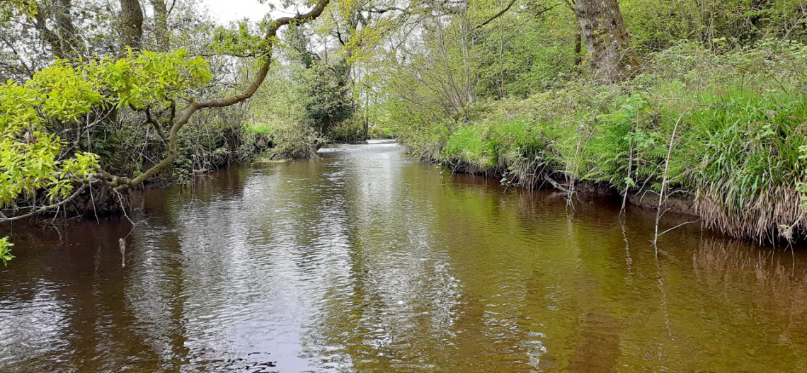 River Cammarch - JA from Rhayader